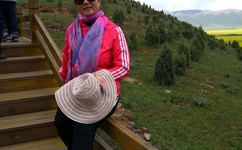 荡女婬春 在线观看